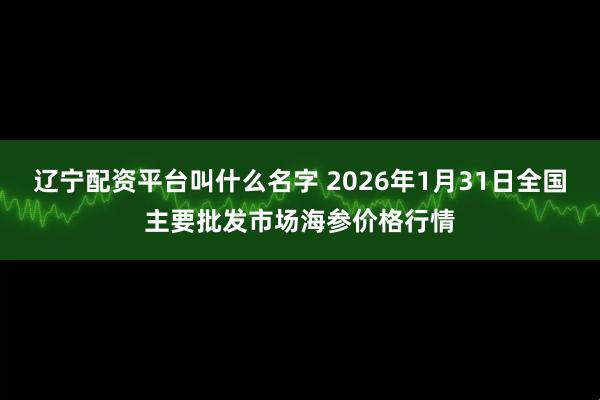 辽宁配资平台叫什么名字 2026年1月31日全国主要批发市场海参价格行情