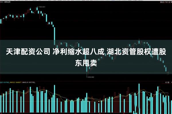 天津配资公司 净利缩水超八成 湖北资管股权遭股东甩卖